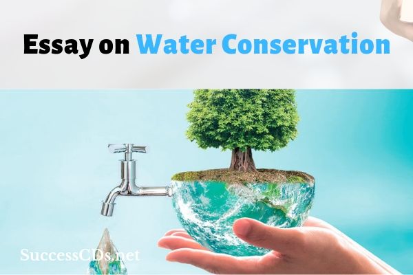 water conservation essay 