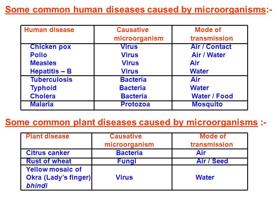 Diseases Explore Different Types Of Disease And Their Causes