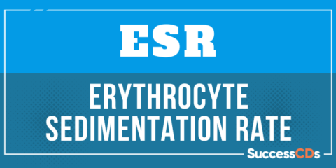 Full form of ESR, What does ESR stand for?