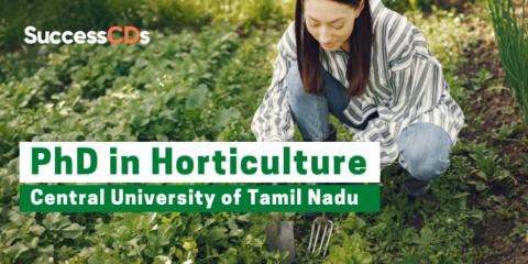 phd psychology in tamil nadu