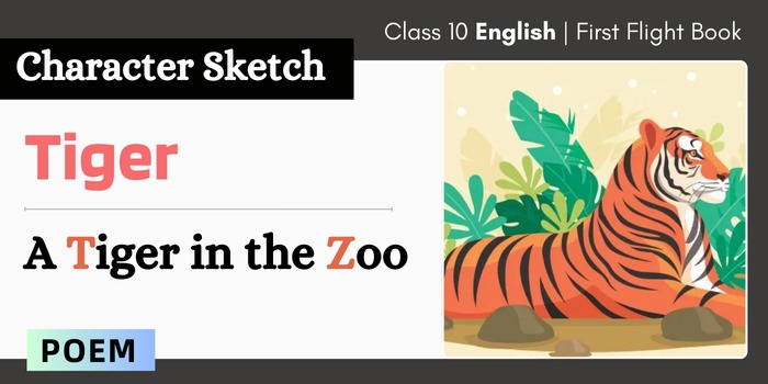 Class 10 A Tiger in the Zoo Character sketches