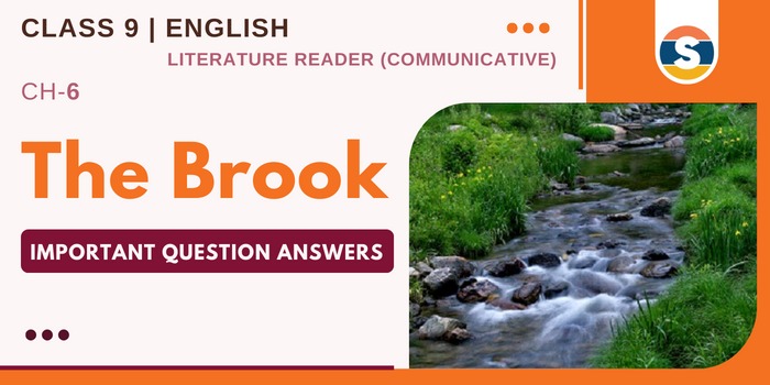 The Brook Important Question Answers