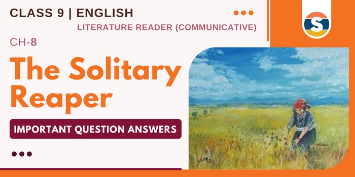 The Solitary Reaper Important Question Answers