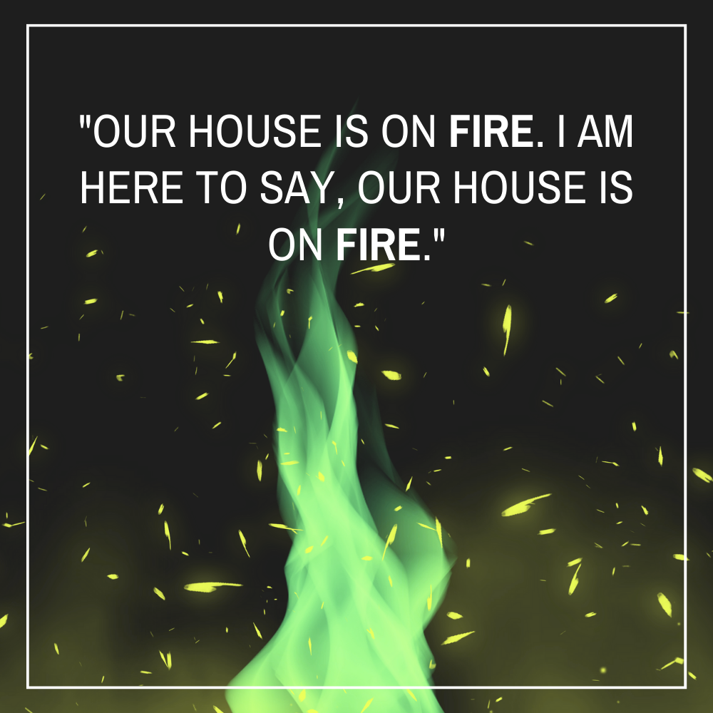 Our house is on fire. I am here to say, our house