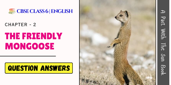 The Friendly Mongoose Question Answers