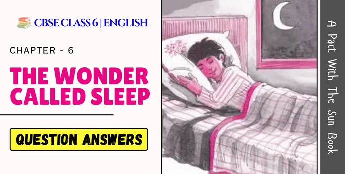 The Wonder Called Sleep Question Answers