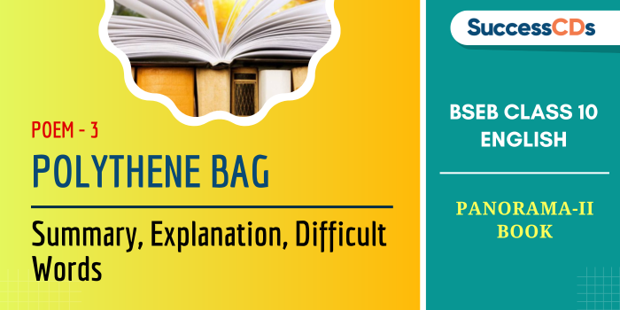 Polythene Bag Summary