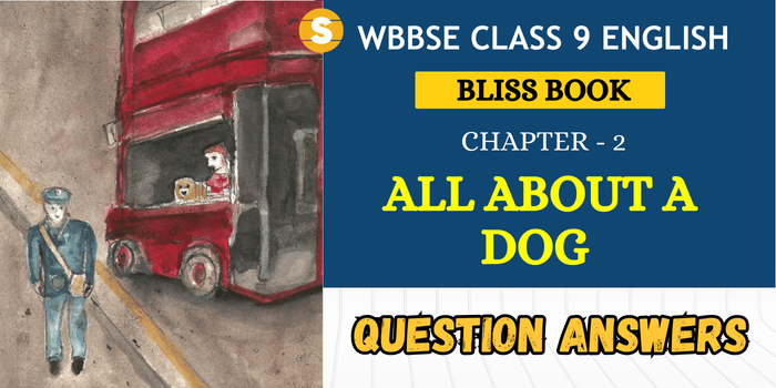 All About a Dog Question Answers