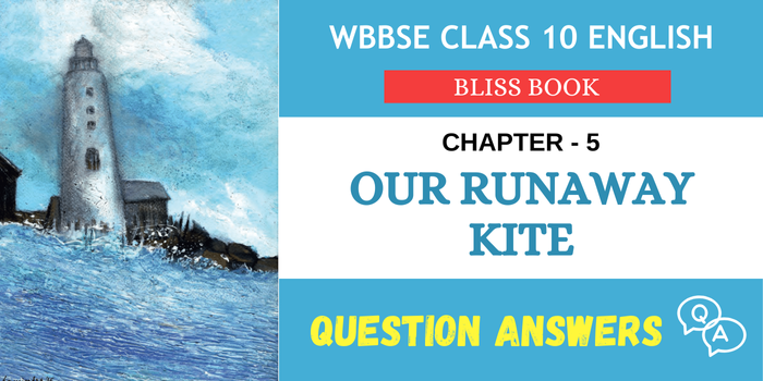 Our Runaway Kite Question Answers