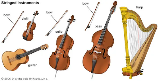 stringed-instruments