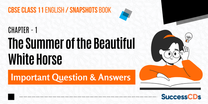 The Summer of the Beautiful White Horse Question Answers