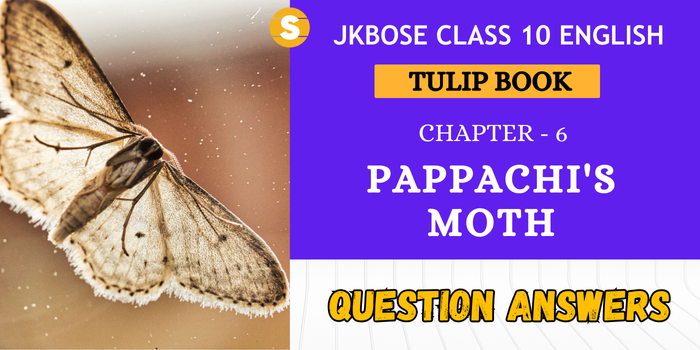 Pappachi's Moth Question Answers