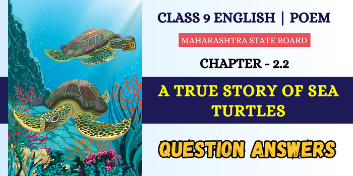 A True Story of Sea Turtles Question Answers