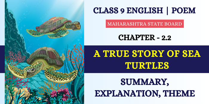 A True Story of Sea Turtles Summary