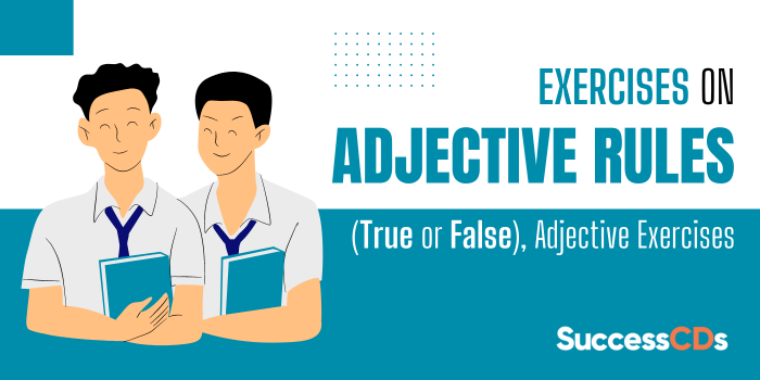 Exercises on Adjective Rules