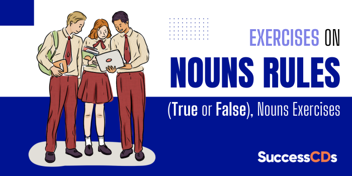 Exercises on Nouns Rules