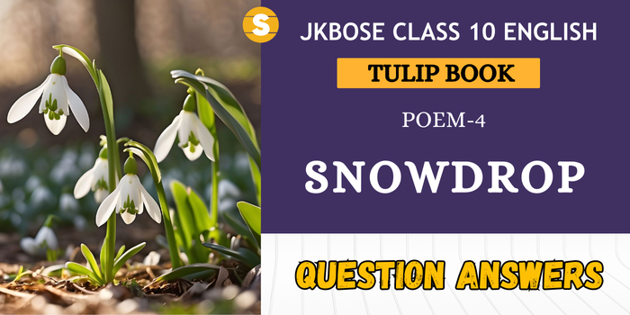 Snowdrop Question Answers