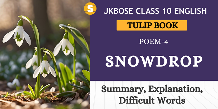 Snowdrop Summary