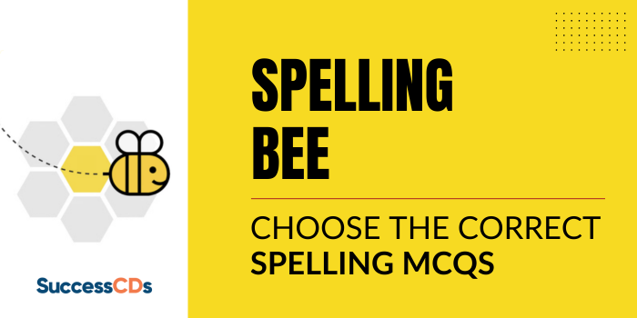 Spelling Bee Quiz